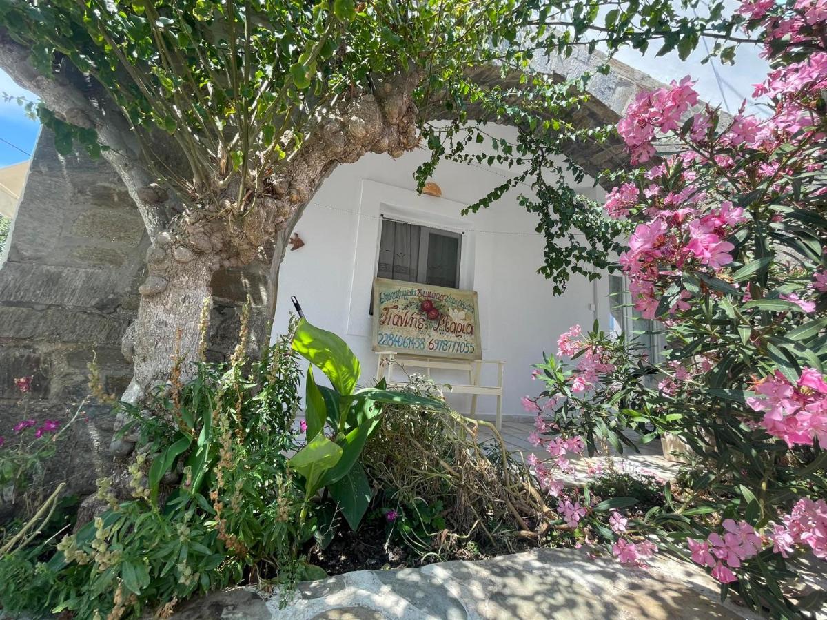 Yannis Maria Rooms Antiparos Town エクステリア 写真